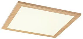 Rabalux 6907 stropný LED panel