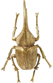 Herkules Beetle dekorácia na stenu zlatá