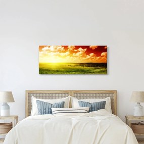 Obraz letnej lúky (120x50 cm)