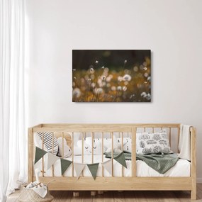 Obraz - Lúka s cottongrass N⁰2 (90x60 cm)