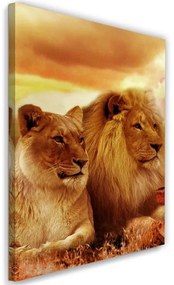 Obraz na plátně, Lvi Afrika Zvířata - 80x120 cm