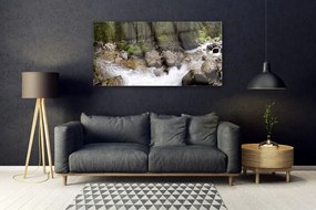 Obraz plexi Les rieka vodopády 120x60 cm
