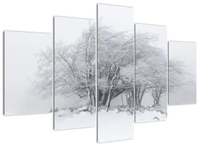 Obraz - Biela zima (150x105 cm)