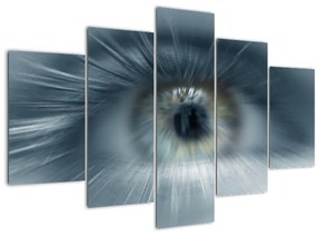 Obraz - Pohľad oka (150x105 cm)