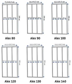 Rea - ALEX posuvné sprchové dvere - chróm, 100 x 190 cm, REA-K0546