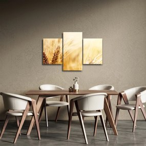 Obraz - detail obilia (90x60 cm)