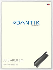 DANTIK rám na obraz 30x40 | ALU Stříbrná lesklá (Plexi Čiré)