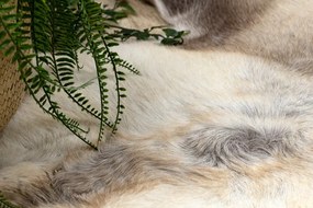 Koberec RENIFER POK008 hnedý / béžový