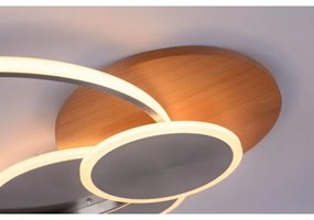 Paul Neuhaus 8328-79 - LED Stmievateľné stropné svietidlo PALMA LED/50W/230V + DO