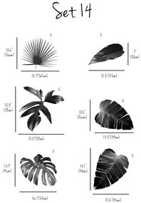 Samolepky na stenu Čierne a biele listy