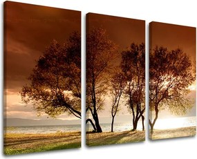 Obraz na stenu 3 dielny STROMY ST026E30