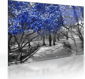 Obrázok - Modré stromy, Central Park, New York (70x50 cm)