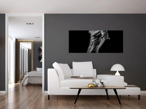 Obraz - Mužský akt (120x50 cm)