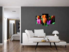 Obraz tulipánov na čiernom pozadí (90x60 cm)