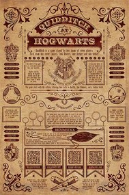 Plagát, Obraz - Harry Potter - Quidditch At Hogwarts, (61 x 91.5 cm)