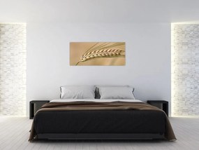 Obraz - Pšenica (120x50 cm)