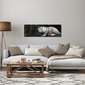 Obraz - Tiger albín (s hodinami) (90x30 cm)