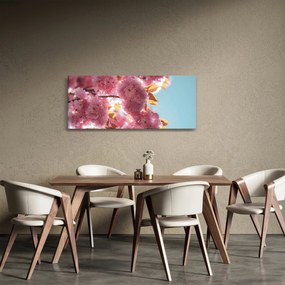 Obraz - Čerešňový kvet (120x50 cm)