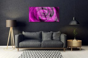 Obraz na skle Ruže kvet rastlina 100x50 cm