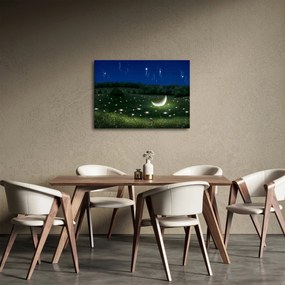 Obraz - Padajúce nebo (70x50 cm)