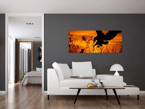 Obraz siluety dravca (120x50 cm)