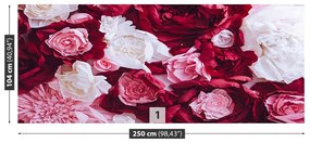 Fototapeta Vliesová Papierové ruže 152x104 cm