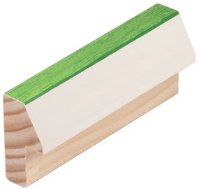 DANTIK rám na obraz 30x40 | EVOQUE zelená (Plexi Čiré)