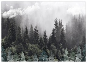 Obraz - Les s ilustrovanými prvkami (70x50 cm)