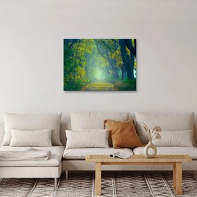 Obraz cesty lemovanej stromami (70x50 cm)