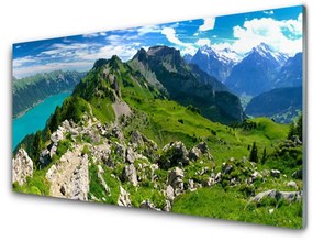 Obraz plexi Lúka hory príroda príroda 140x70 cm