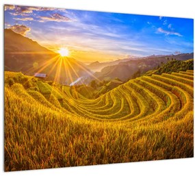 Sklenený obraz - Ryžové terasy vo Vietname (70x50 cm)