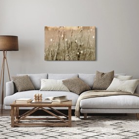 Obraz - Harmonická lúka (90x60 cm)