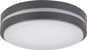 Rabalux 8847 - LED Vonkajšie nástenné svietidlo HAMBURG LED/10W/230V IP44