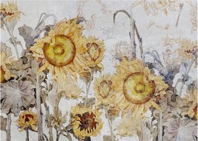 Obraz - Slnečnica v stene (70x50 cm)
