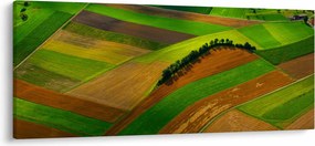 Obraz - Polia, lúky (120x50 cm)