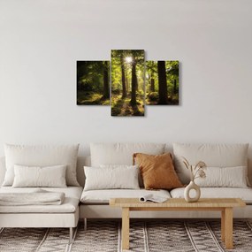Obraz snového lesa (90x60 cm)