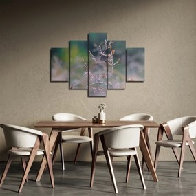 Obraz - Detail traviny (150x105 cm)
