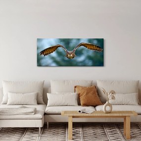 Obraz - Sova pri lete (120x50 cm)