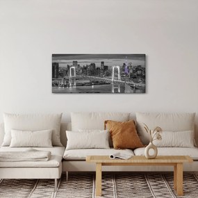 Obraz - Veľkomesto s fialovou vežou (120x50 cm)