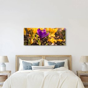 Obraz fialovej kvetiny (120x50 cm)