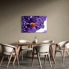 Obraz - Morská pláž (90x60 cm)