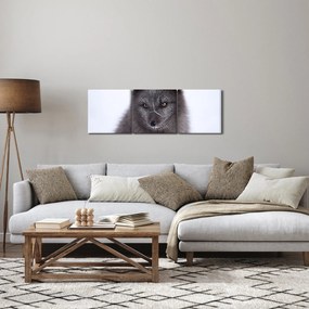 Obraz snežné líšky (s hodinami) (90x30 cm)