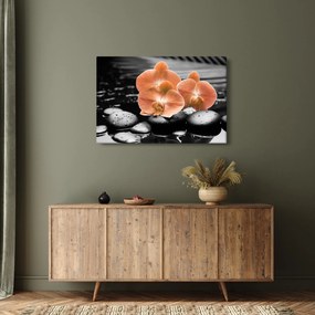 Obraz - Oranžové orchidey (90x60 cm)