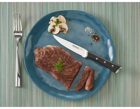 Súprava nožov na steak z nerezovej ocele 4 ks Ice Force – Tefal