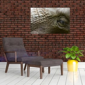 Obraz - Detailné fotografie starého slonieho oka (90x60 cm)