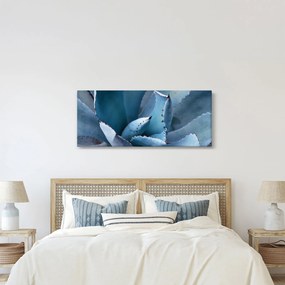 Obraz - Agáve (120x50 cm)