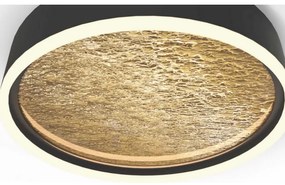 Wofi 9002-104L-LED Stmievateľné stropné svietidlo BORDEAUX LED/60W/230V čierna/zlat