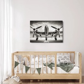 Obraz - Warbird (90x60 cm)