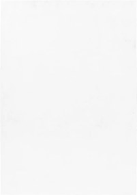 Ayyildiz, AKCIA: 160x230 cm Kusový koberec Pouffy 5100 White, biela, obývacia izba