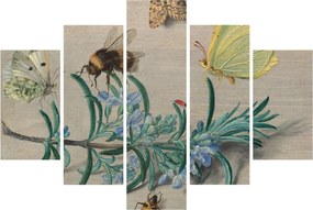 Obraz - Jan van Kessel the Elder, Insects and a Sprig of Rosemary, reprodukcia (150x105 cm)
